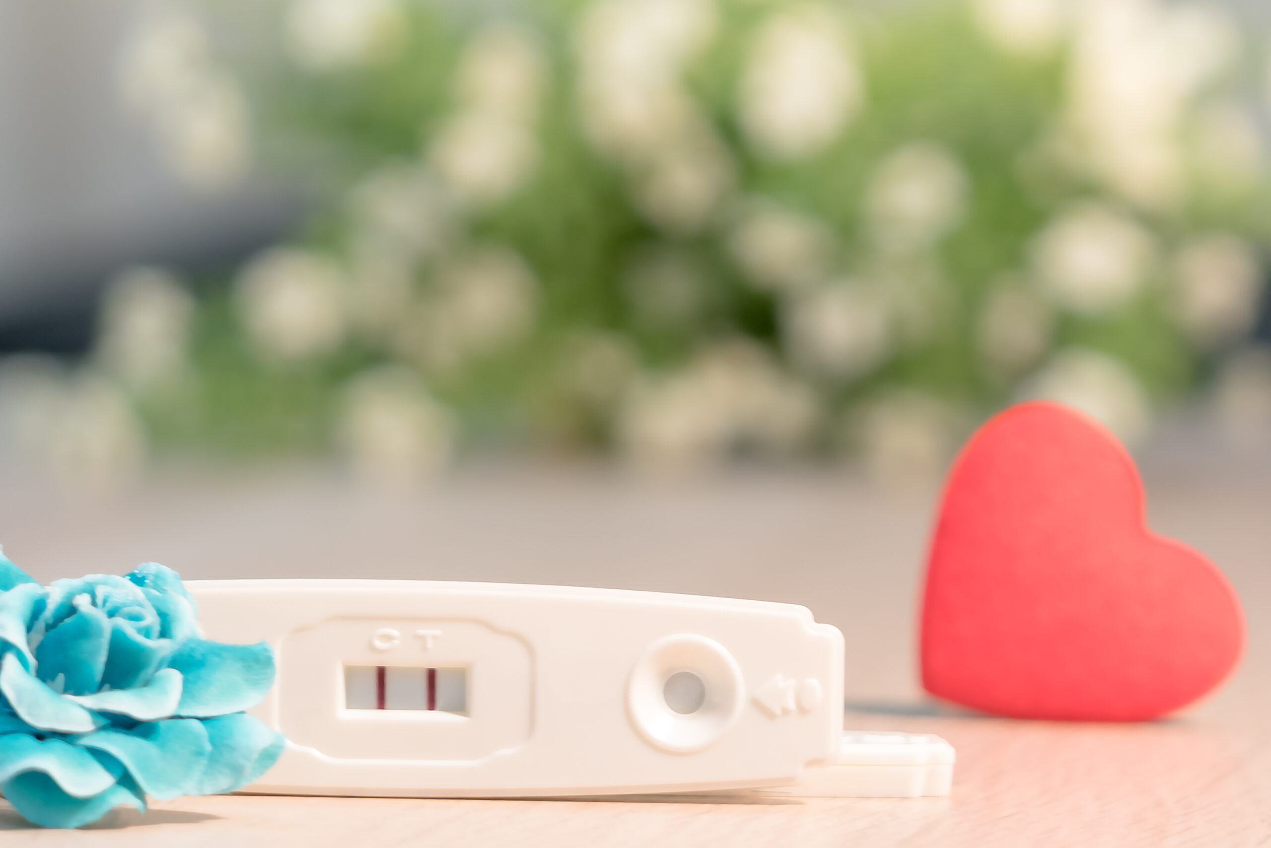 focus on the positive prenancy test result with blue flower and red heart shape